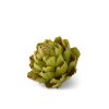 Gracious Home K&K Interiors Green Artichoke Wholesale