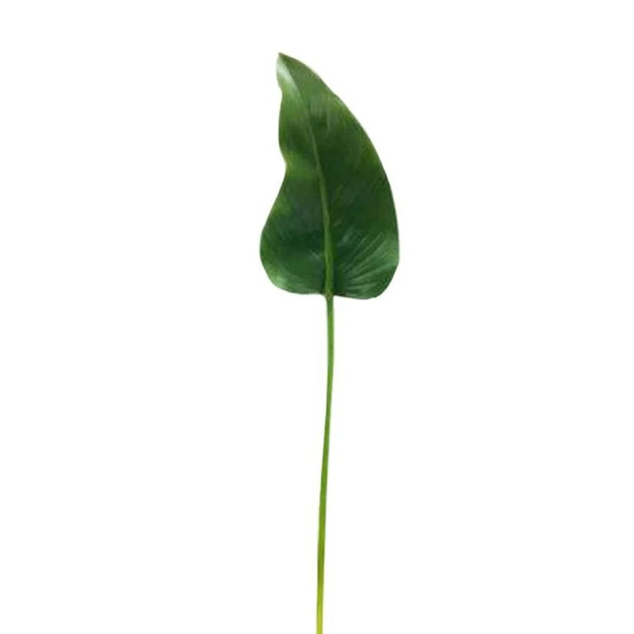 Winward International Winward 33" Green Calla Leaf Clearance