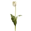 Winward International Winward 29" Tulip Dutch Open Wholesale