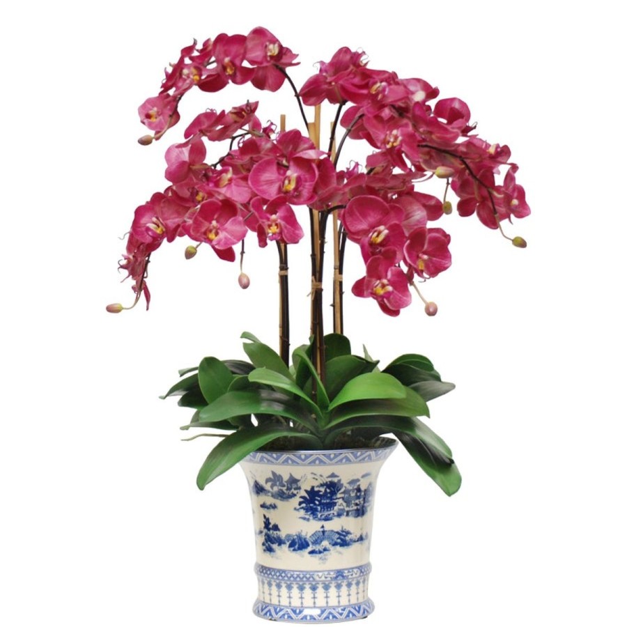 Winward International Winward Phalaenopsis In China Pot Hot