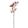 Winward International Winward Tree Magnolia 32" Spray Hot