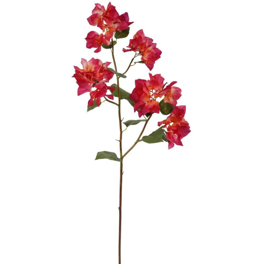 Winward International Winward Bougainvillea 34.5" Stem Clearance