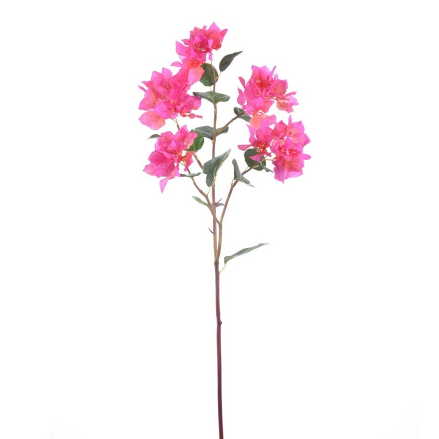 Winward International Winward Bougainvillea 34.5" Stem Clearance