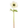 Winward International Winward 17.5" Poppy Anemone Best