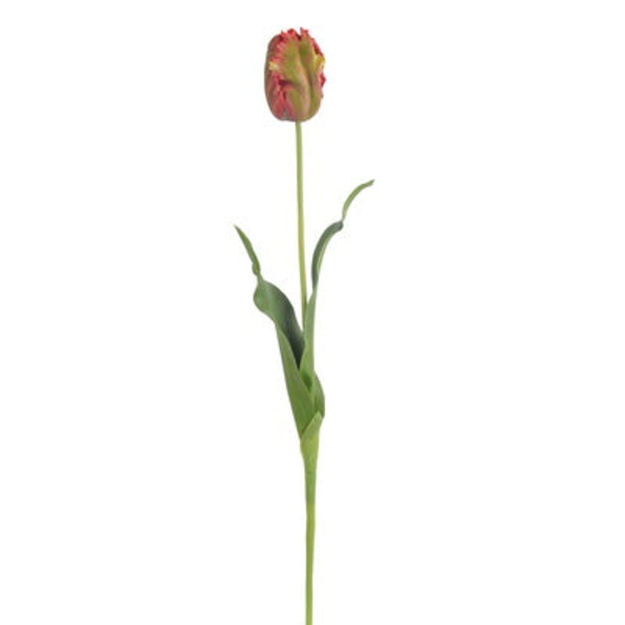 Winward Winward 22.5" Tulip Parrot Bud Wholesale