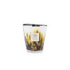 Baobab Collection Baobab Collection Max 16 Rainforest Mayumbe Candle Hot