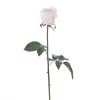 Winward International Winward Rose 20.5" Bud Pick New