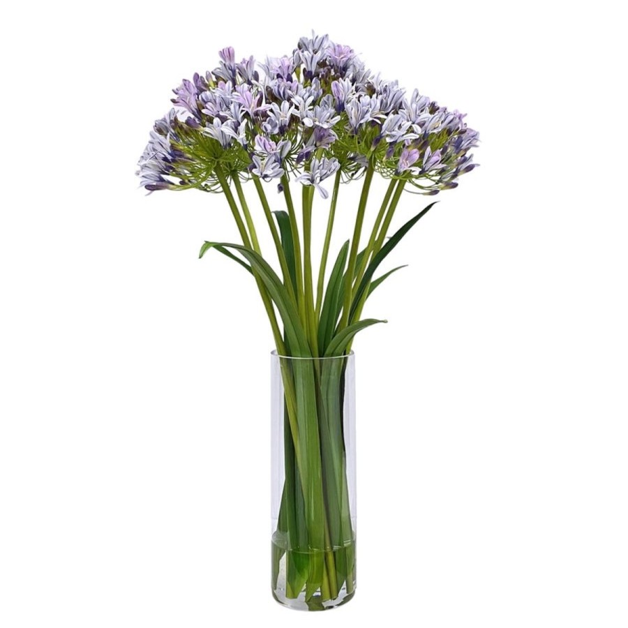 Winward International Winward Blue Agapanthus In Vase Best