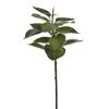 Winward International Winward Hydrangea Leaf Stem Clearance