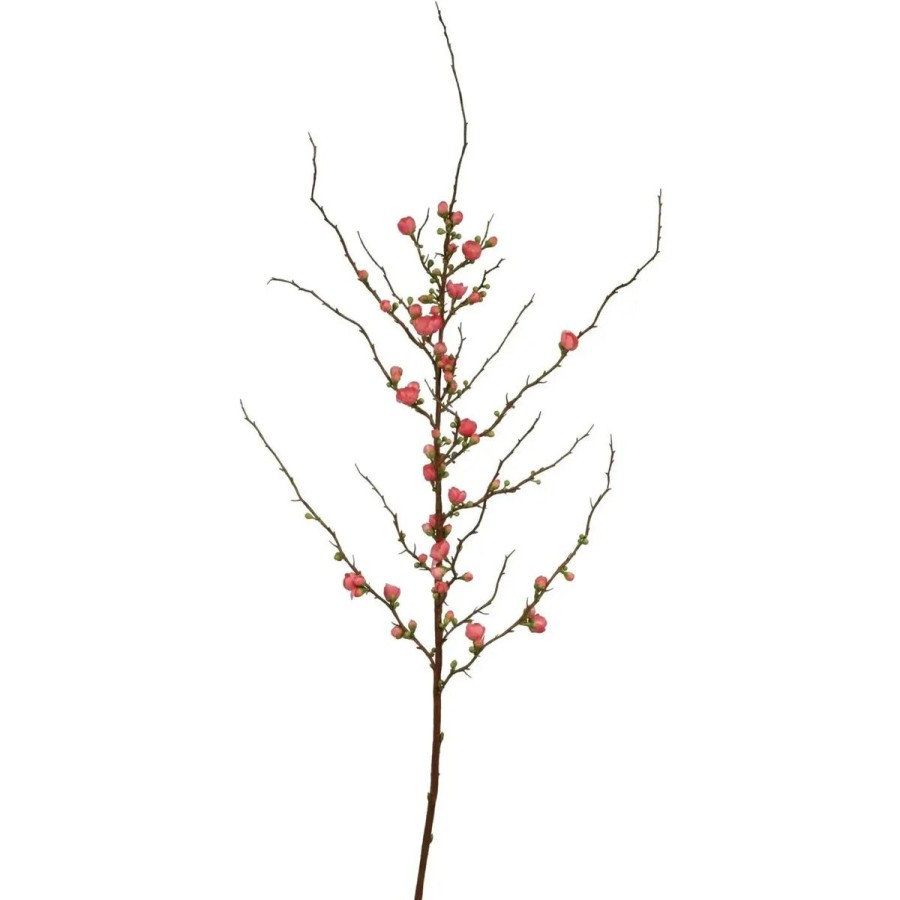 Winward International Winward 59.5" Blossom Peach Hot