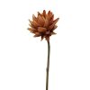 Winward International Winward 25.5" Artichoke Stem Hot