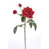 Winward International Winward 22" English Rose Tomora Clearance