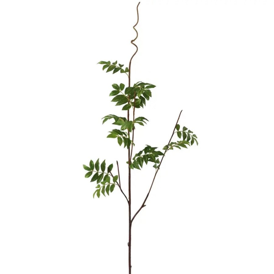 Winward International Winward Wisteria Leaf Stem Wholesale