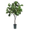 Winward International Winward 5' Fiddle Leaf Tree Hot