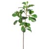 Winward International Winward Green Peperomia Obtusifolia Spray Clearance