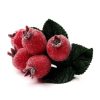 Deborah Rhodes Deborah Rhodes Rosehip Spray Napkin Ring Clearance