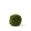 K&K Interiors K&K 5.5 Preserved Boxwood Ball Wholesale