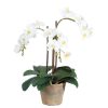 Winward International Winward White 19" Phalaenopsis Potted Planter New