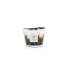 Baobab Collection Baobab Collection Max 10 Rainforest Amazonia Candle Wholesale