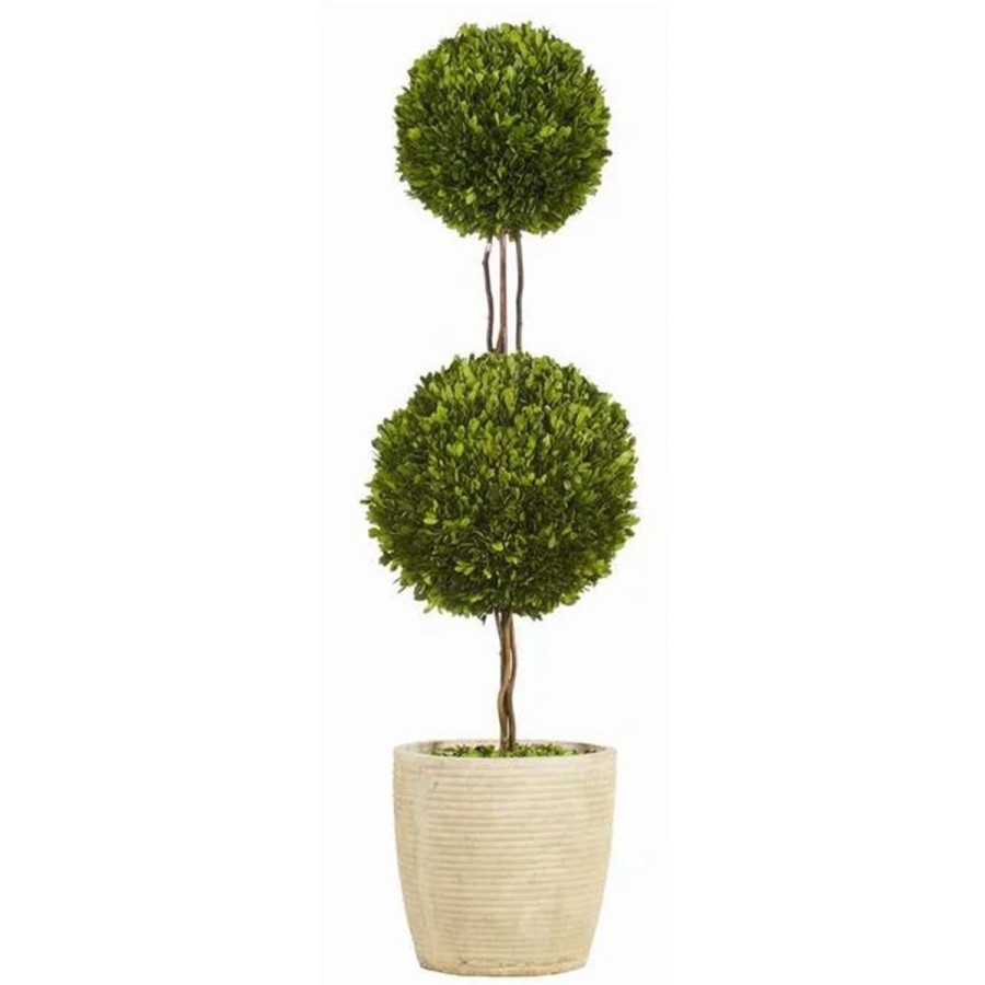 Winward International Winward Double Ball Boxwood Topiary Best