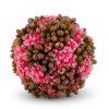 K&K Interiors K&K 4" Pink Kalanchoe Ball Online