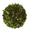 Winward International Winward 6" Boxwood Ball Hot