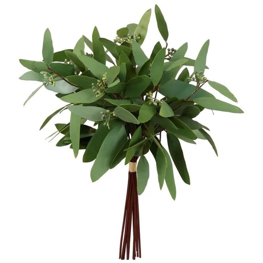 Winward International Winward Long Eucalyptus Bundle Online