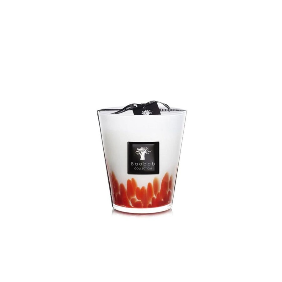 Baobab Collection Baobab Collection Max 16 Feathers Maasai Candle New