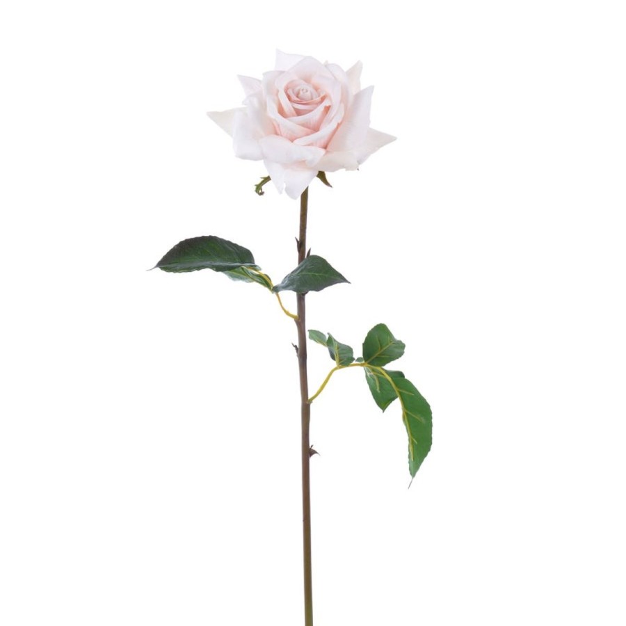 Winward International Winward Rose Dutchess Open Short Stem 20" Hot