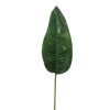 Winward International Winward Bird Of Paradise Leaf Wholesale