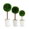 Gracious Home K&K Interiors Boxwood Ball Topiaries (Set Of 3) Clearance