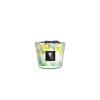 Baobab Collection Baobab Collection Max 10 Eden Forest Candle Online