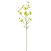 Winward International Winward Coreopsis 33" Spray Stem Wholesale