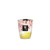 Baobab Collection Baobab Collection Max 16 Eden Garden Candle Wholesale