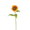 Winward International Winward 30" Sunflower Stem Best