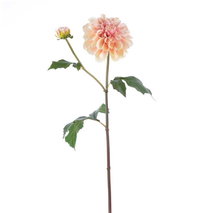 Winward International Winward 25" Dahlia Wholesale