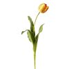 Winward International Winward 24.5" Dutch Tulip Online