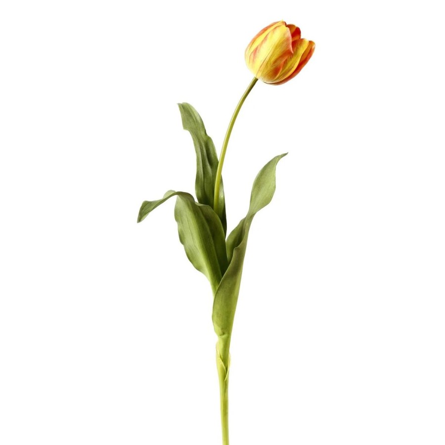 Winward International Winward 24.5" Dutch Tulip Online