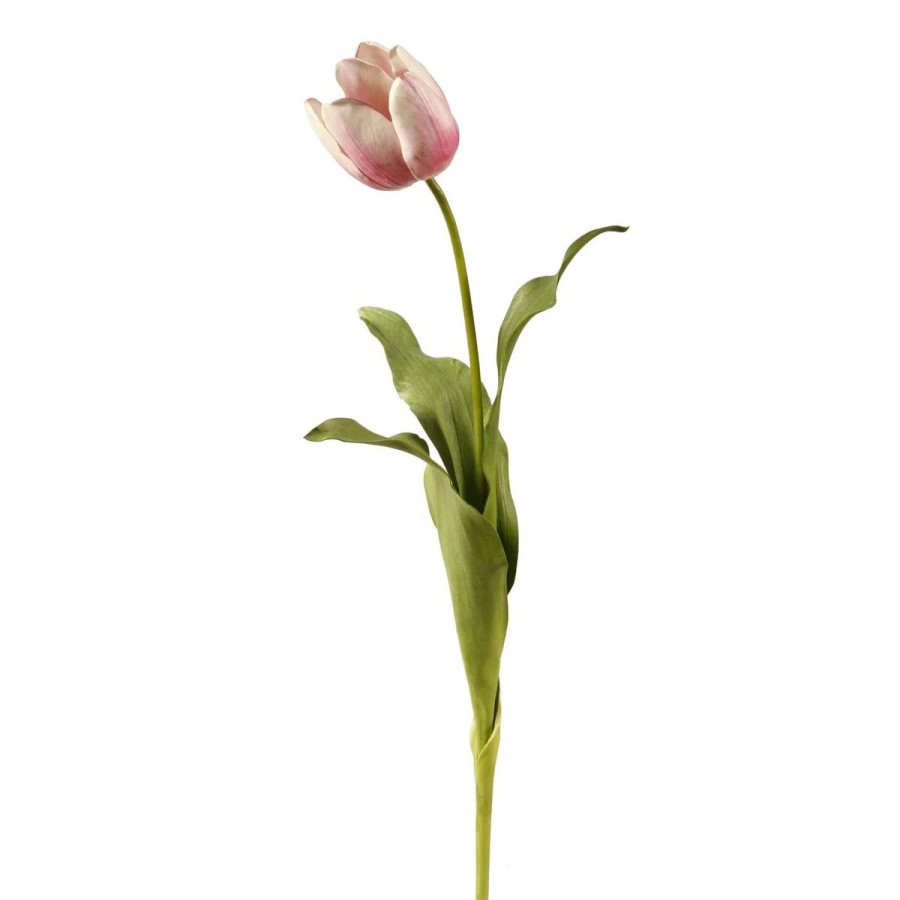 Winward International Winward 24.5" Dutch Tulip Online