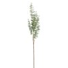 K&K Interiors K&K 36" Light Green Gunnii Eucalyptus Stem Hot