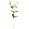 Winward International Winward 22" Lisianthus Stem Hot