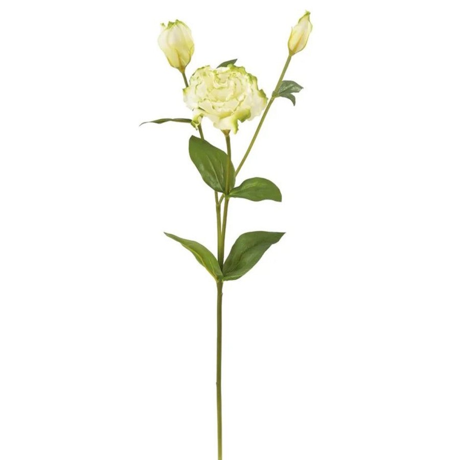 Winward International Winward 22" Lisianthus Stem Hot