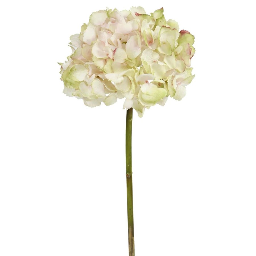 Winward International Winward Hydrangea 19" Short Stem Clearance