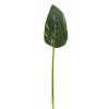 Winward International Winward 28" Green Calla Leaf Clearance