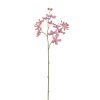 Winward International Winward 30" Vanda Lamellatau Orchid Best