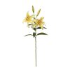 Winward International Winward Yellow Lily Rubrum Online