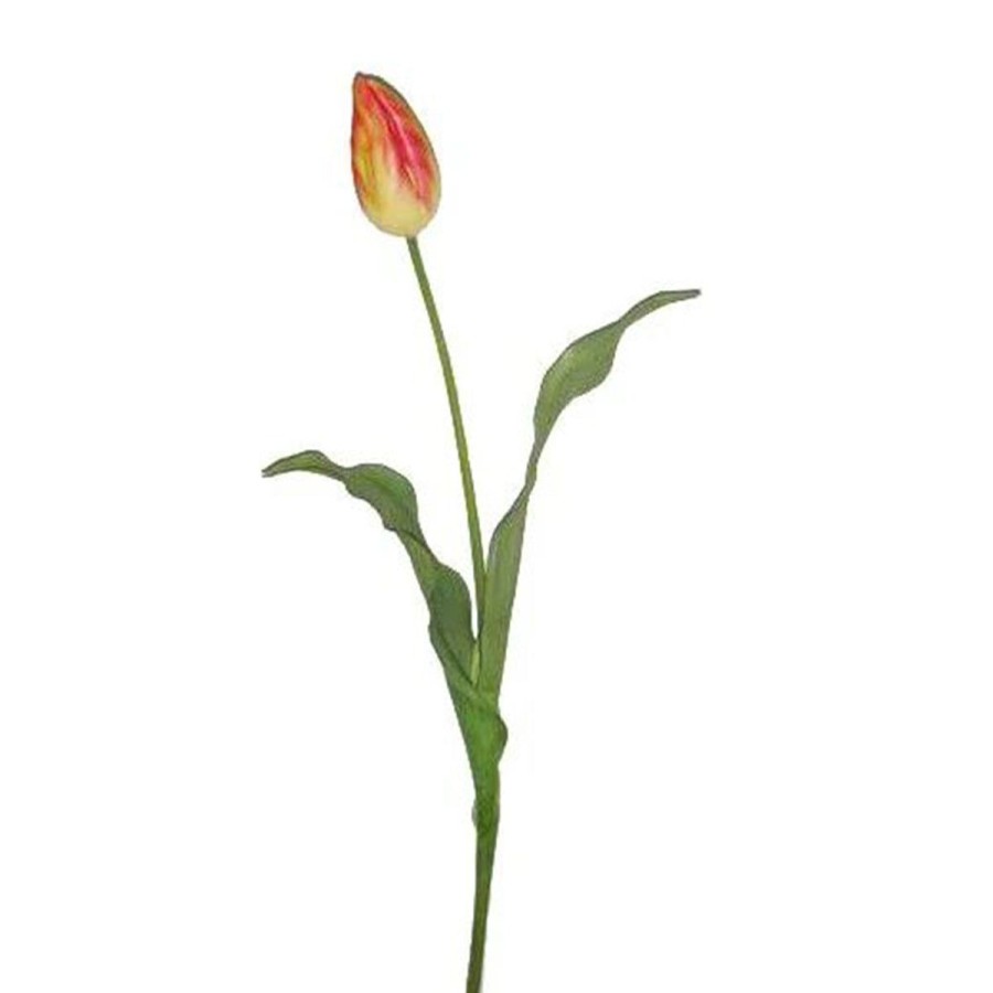 Winward International Winward Yellow Red Tulip Dutch Bud Online