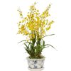 Winward International Winward Oncidium In Cache Rose Trellis Pot New