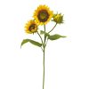 Winward International Winward 34" Sunflower Stem Clearance