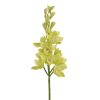 Winward International Winward 35" Cymbidium New